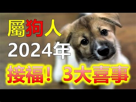 屬狗的|屬狗今年幾歲？2024屬狗生肖年齡對照表！屬狗性格特質